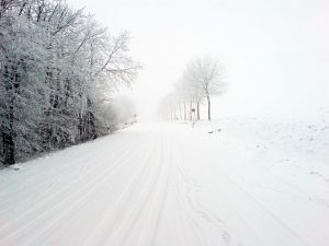 Winter auf der Herchenhainer Höhe