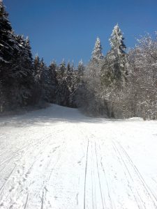 Winterlandschaft Herchenhain