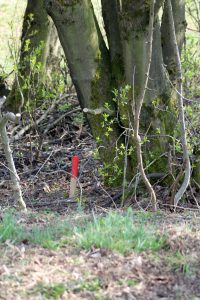 Ein Platz für die Vogelschmiede