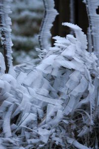 Gefrorene Natur vom Wind geformt