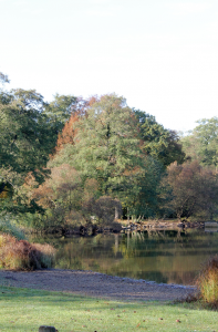 Gederner See Vogelsberg