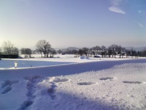 Winter Schnee Vogelschmiede