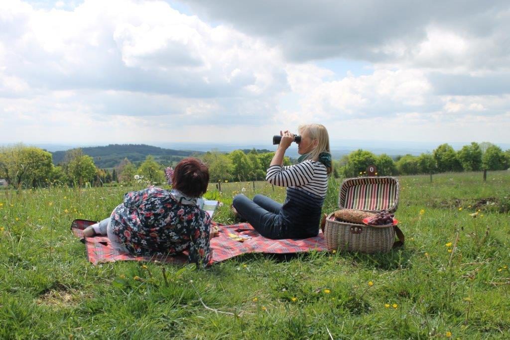 Picknick auf der Bergmähwiese